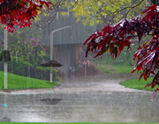 路<span  style='background-color:Yellow;'>灯</span>、雨伞的完美集合，Lampbrella 