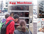 内有母鸡 保证新鲜的自动鸡蛋售货机