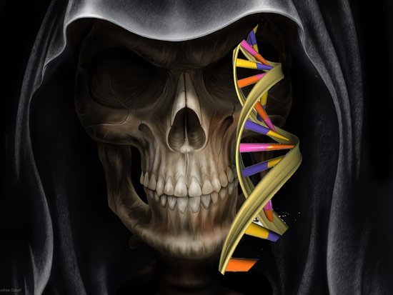 死亡时间可预知 基因研究新发现